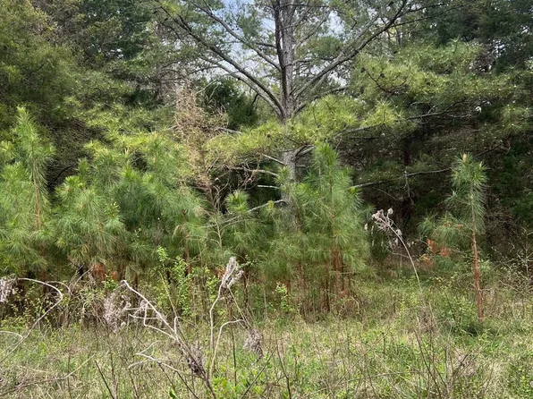 11055 Graybark Rd, Midland, NC 28107