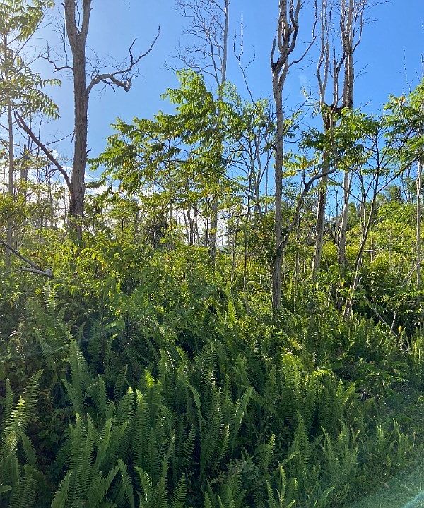 2nd image of Makamae St Lot 39