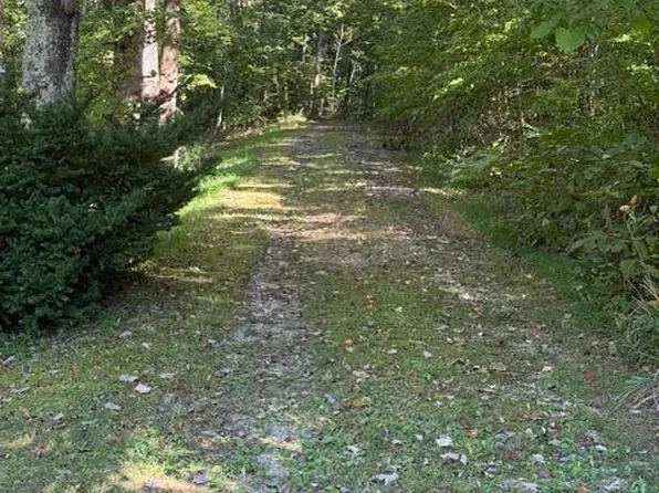 Heather Hills Dr, Rose Hill, VA 24281