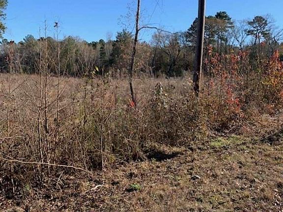 4th image of 18245 County Road 361 #62