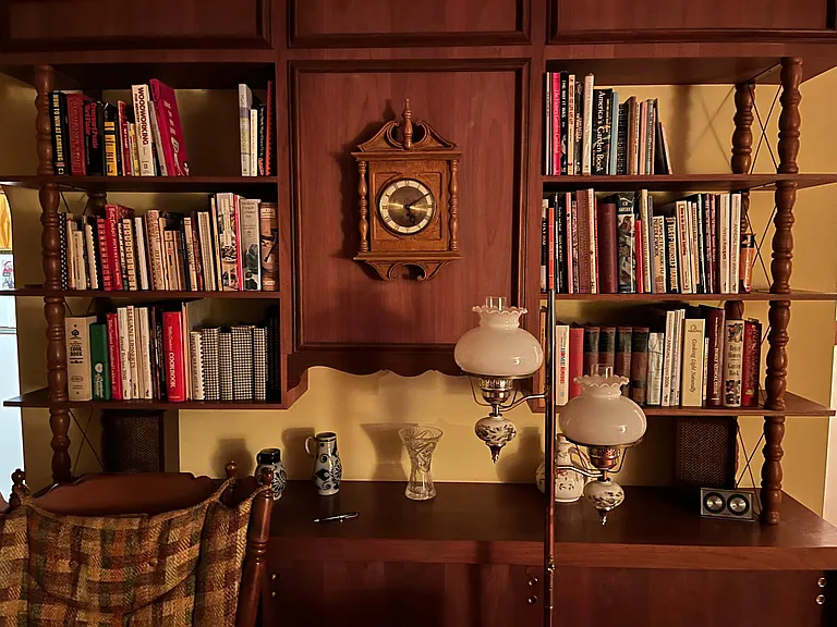 Living Room Shelf