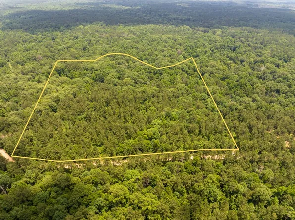 Posey Webb Camp Rd, Jonesville, LA 71343
