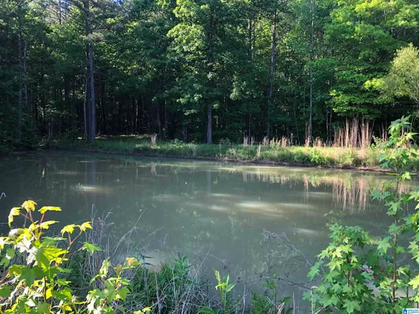 Copper Rd #61-0, Columbiana, AL 35051