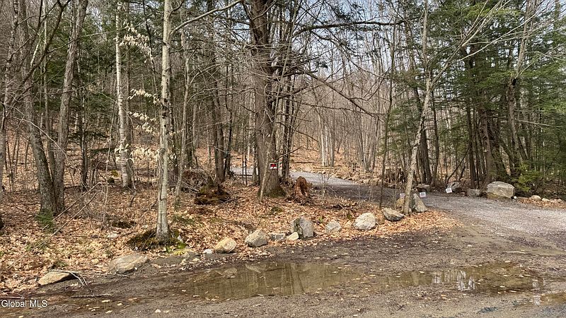 2nd image of 4 Spring Wood