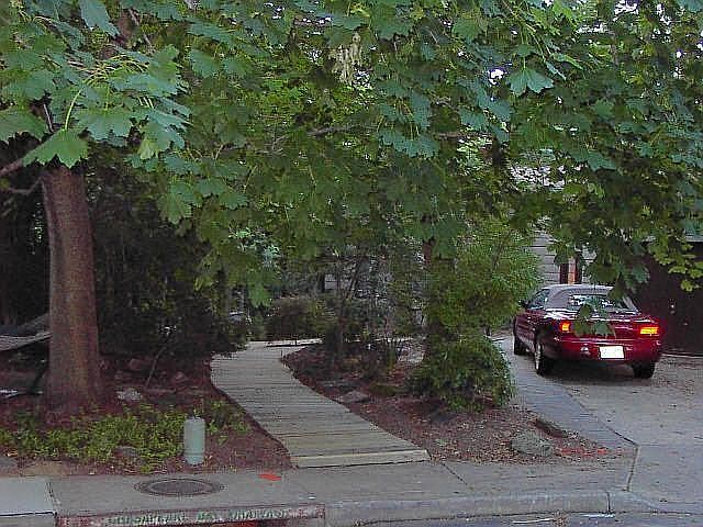 Wood Path leads to Deck