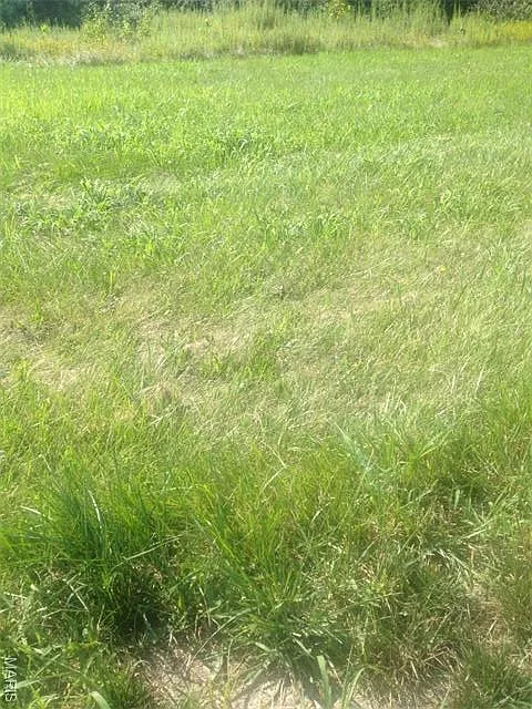 16728 Shamblin Rd photo 1