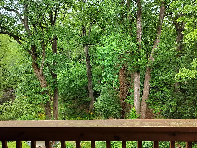 361 Ivy Pl — Photo 11