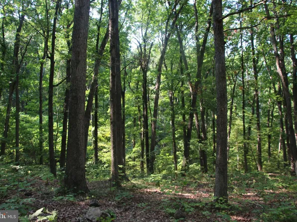 Noahs Rd, Bentonville, VA 22610