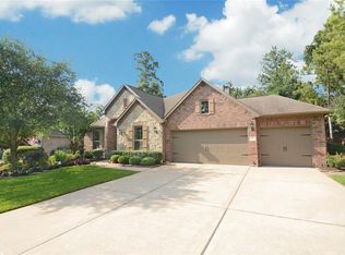 115 Pronghorn Pl, Montgomery, TX 77316