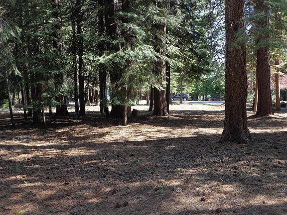 3rd image of 262 Lake Almanor West Dr #1