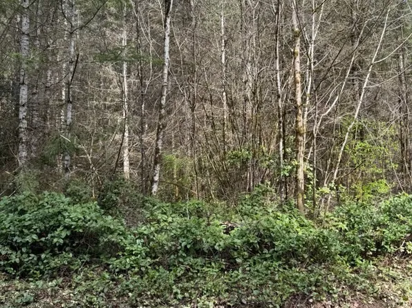 0 xx Summers Road, Centralia, WA 98531