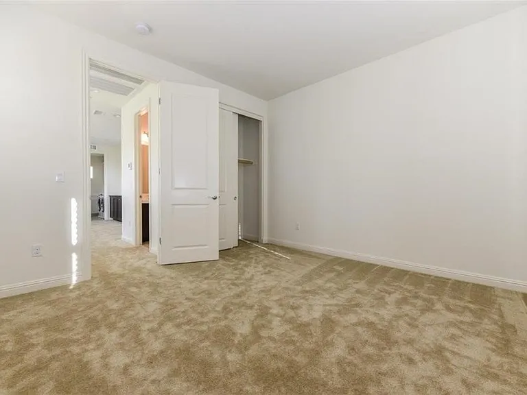 16 Torosa — Photo 5