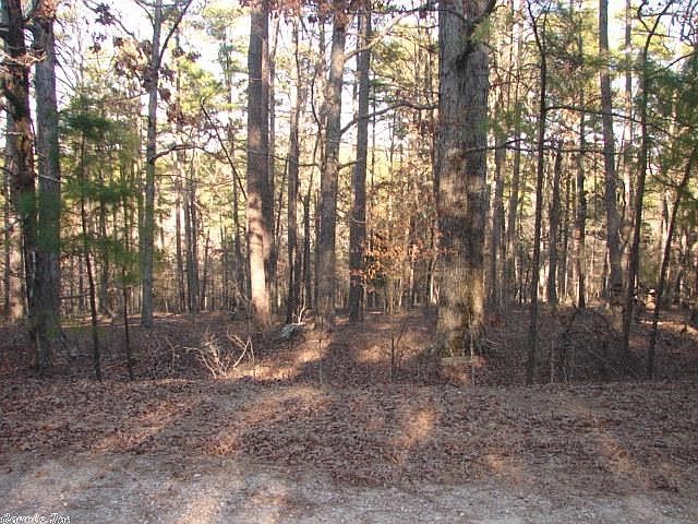 2nd image of 55 Estepa Way