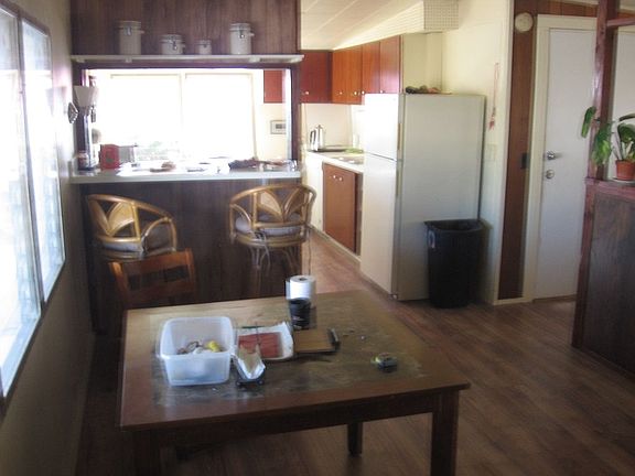 buffalo online casino game