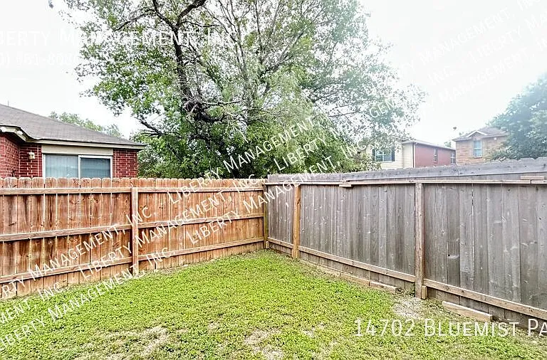 14702 Bluemist Pass — Photo 29