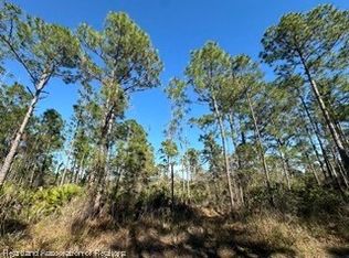 609 Pershing Ave, Lake Placid, FL 33852
