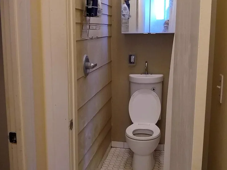 Upstairs "European" bathroom