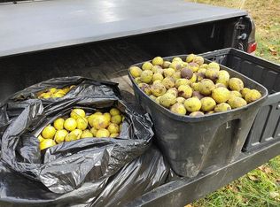 8581 Walnut Dowler Rd, Logan, OH 43138