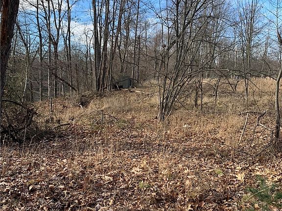5th image of 8598 Broadview Rd