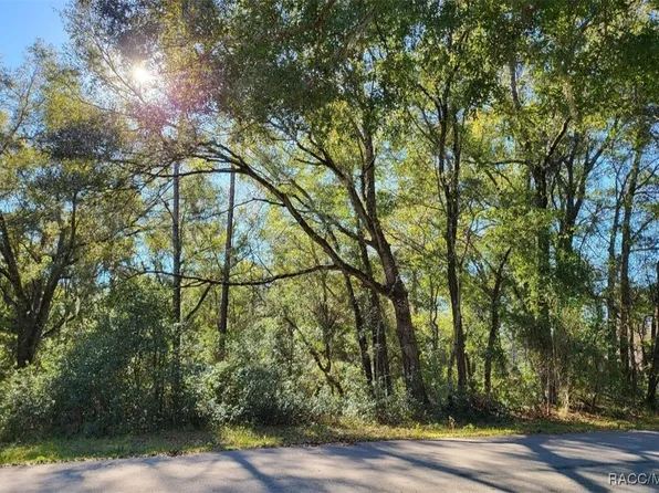 0 SW 101st St, Dunnellon, FL 34432