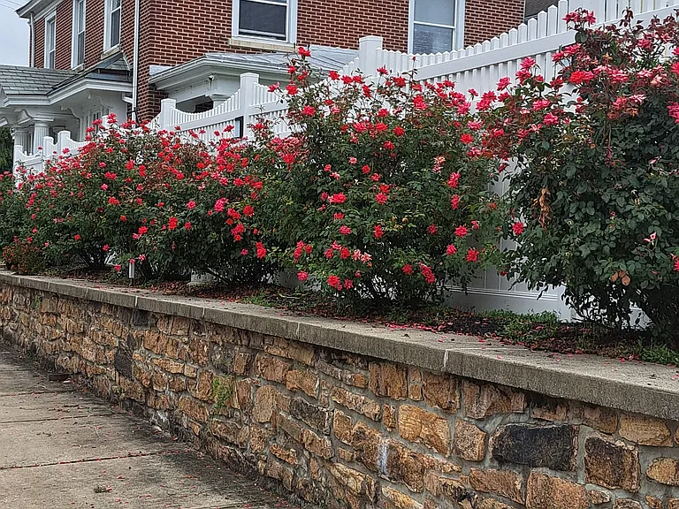 E Philadelphia Ave — Photo 16