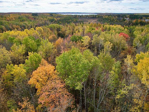 2nd image of ON TAUER LN #38 ACRES