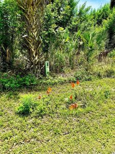 Chesebro Avenue Lot #4, North Pt, FL, 34287