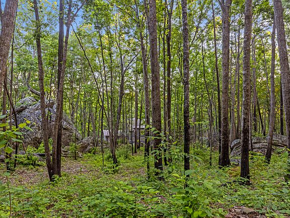 60th image of 748 Woodcock Rd