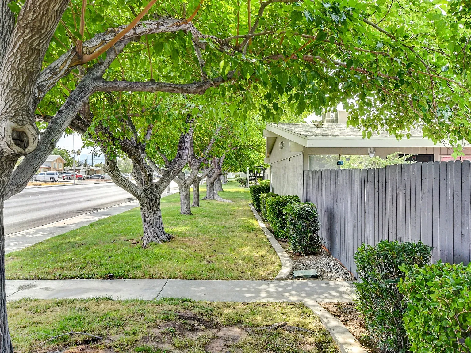Green Acres — Photo 4