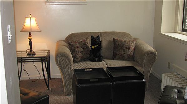 910 State #1 Living room