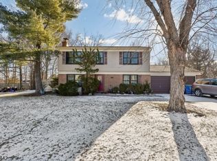 119 Hickory Rd, Somerset, NJ 08873