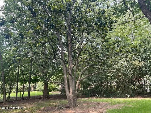 702 Persimmon Dr — Photo 15