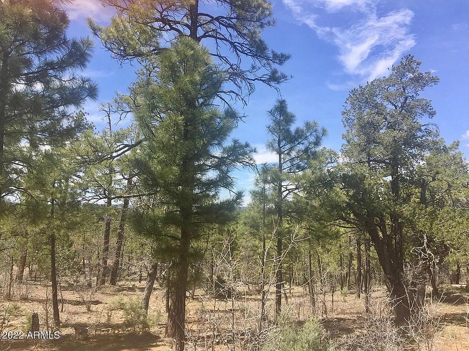 1st image of 1490 W SNOW CREEK Trail #103