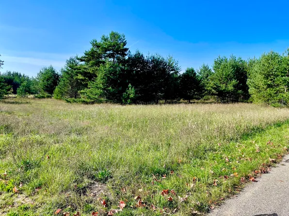 Sunnyside St, Mancelona, MI 49659