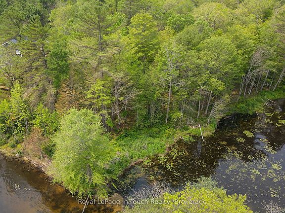 4th image of 12544 Georgian Bay Shr