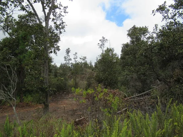 92-9083 Paradise Pkwy Lot 29, Captain Cook, HI 96704