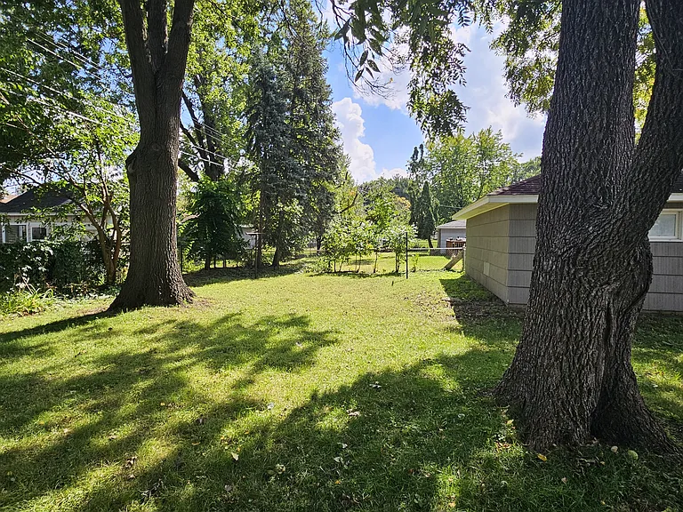 Spacious/calm back yard