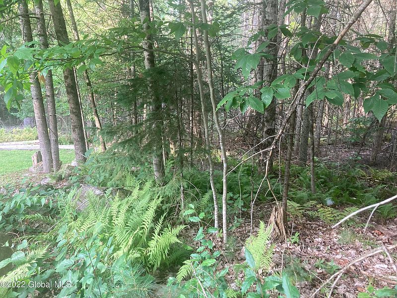 5th image of L31.200 County Route 29