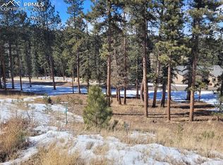 215 Iron Eagle Point, Woodland Park, CO 80863