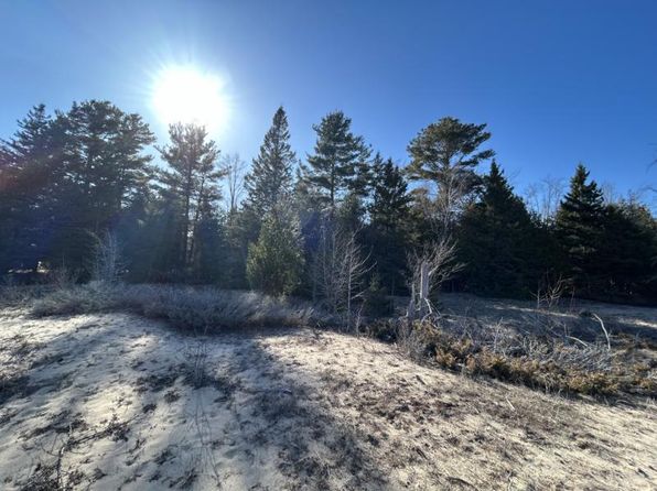 N Lakeshore Dr, Black River, MI 48721