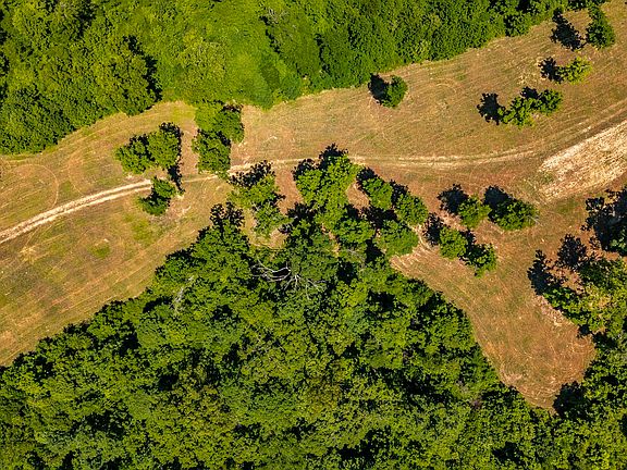 5th image of 8388 Cub Creek Rd