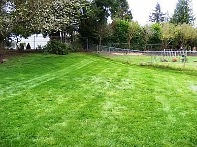 5th image of 1224 31st St SE
