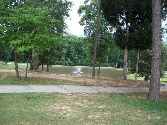 4th image of 318 Spyglass Hill Dr