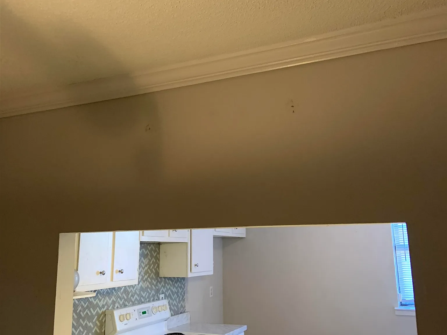 2 bed, 2.5 bath, 1398 sqft, $1,250 — Photo 4