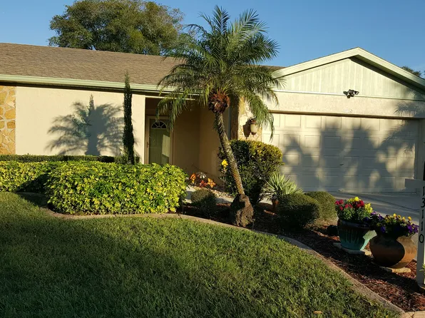 13110 Elgar Pl, Riverview, FL 33579