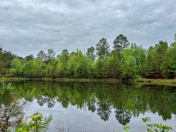0 Beaudry Cir, Jessieville, AR 71949