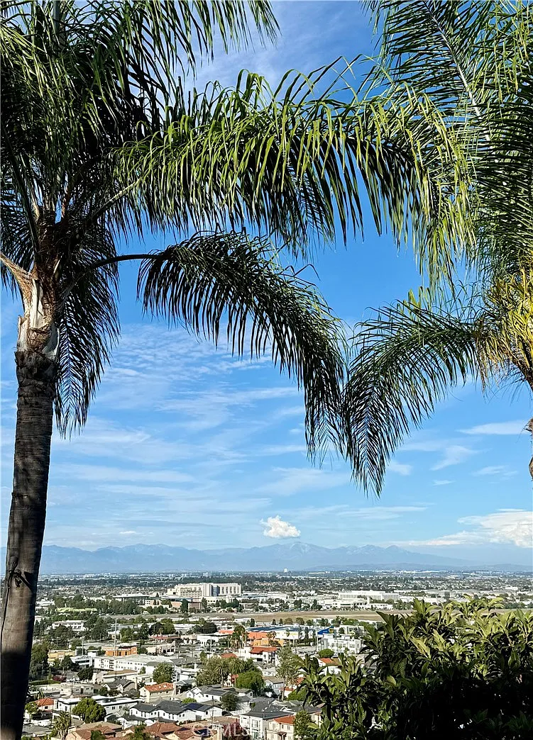 2 bed, 820 sqft, $3,750 — Photo 4