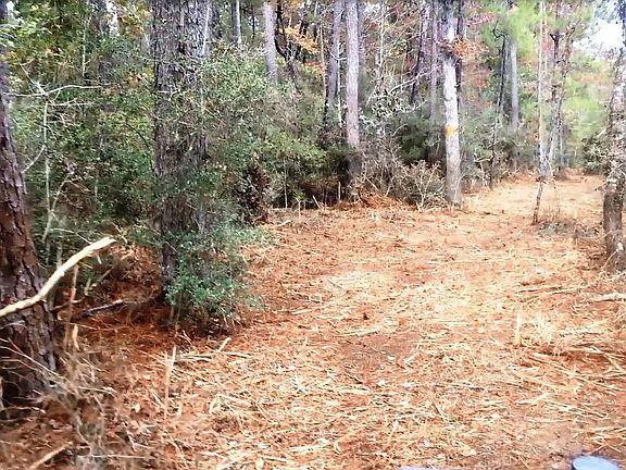 5th image of 83 Acres For Sale