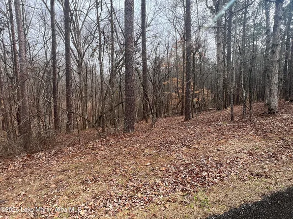 34 Deer Hollow Trl, Dadeville, AL 36853
