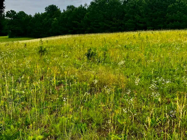 10 & 11 County Road 692, Cedar Bluff, AL 35959